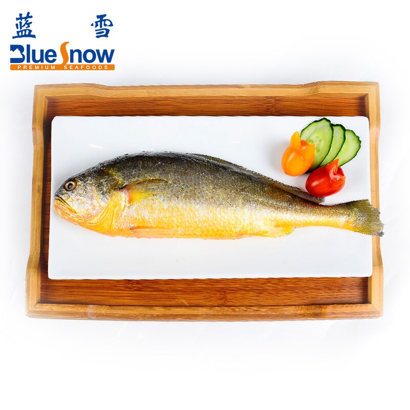 【蓝雪】大黄鱼2x700g 肥厚鲜嫩 整条 海鲜生鲜鱼类冷冻水产