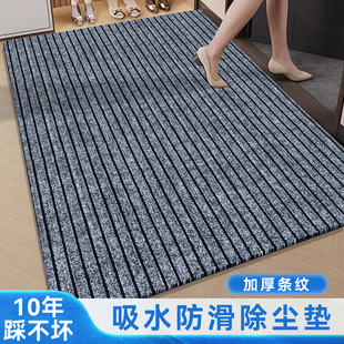 家用进门蹭脚地毯入户吸水门垫免洗脚垫子玄关耐脏地垫加厚防滑垫