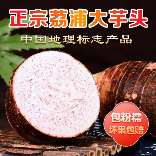 荔浦芋头新鲜新鲜香芋大芋头广西现挖粉糯香槟榔芋毛芋艿芋泥整件