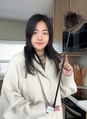 鸵鸟毛掸子家用除尘鸡毛掸