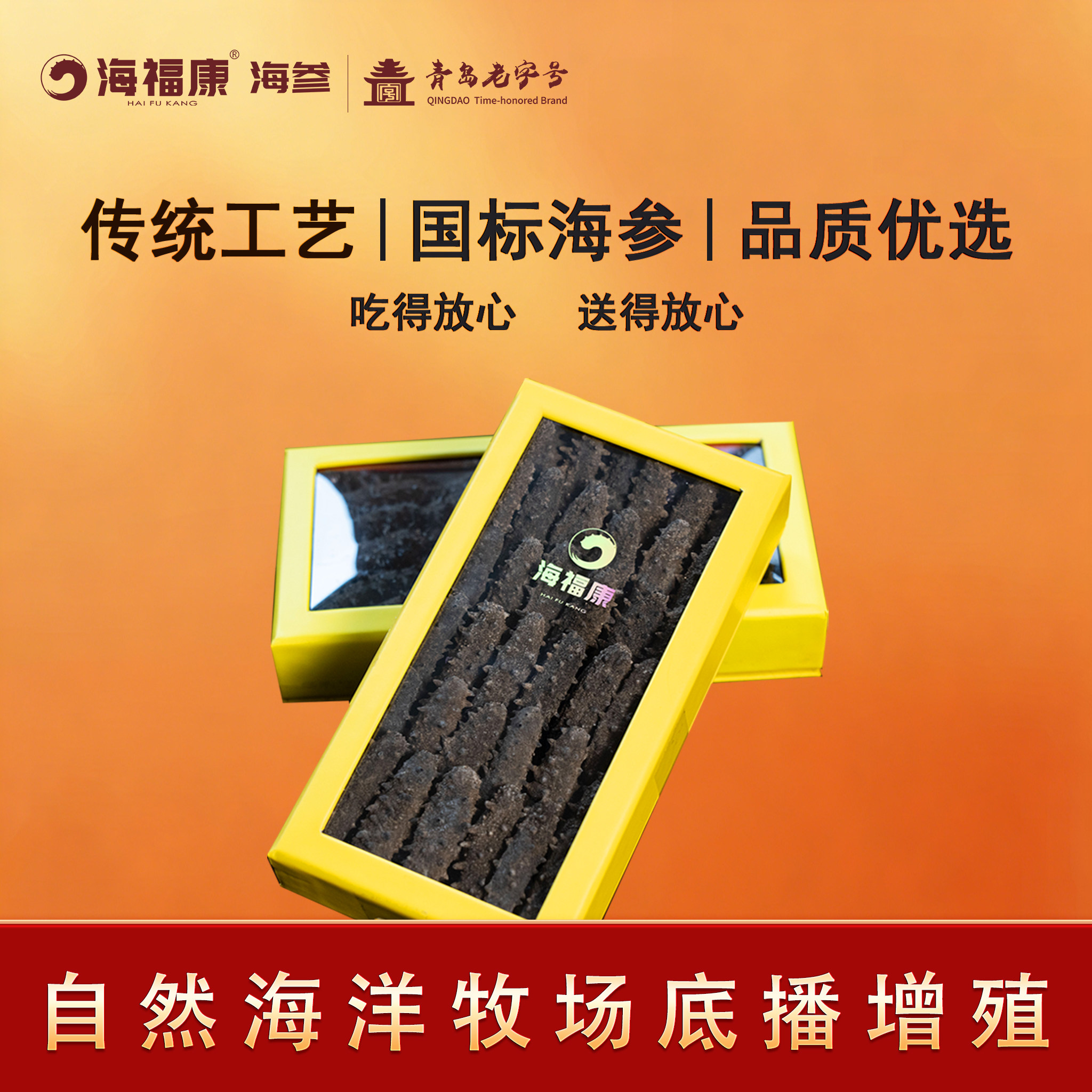 海福康青岛特产送礼淡干海参自然海域海刺参深海底播滋补100g