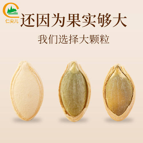 大片颗粒熟原味散装南瓜子新货