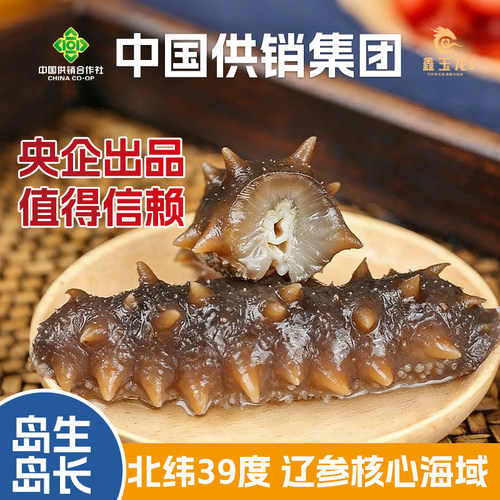 中国供销集团大连平岛有机海参