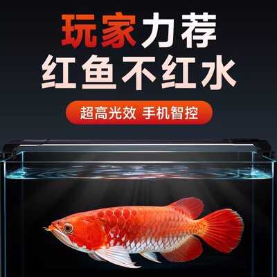 尼特利 时光S Pro 2025新款鱼缸增艳灯全光谱水草灯手机APP智控