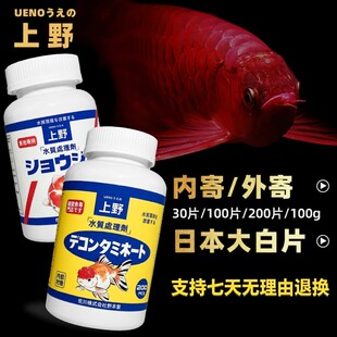 正品英国大白片水族观赏鱼龙鱼罗汉鱼内寄头洞凸眼外寄白点非鱼药