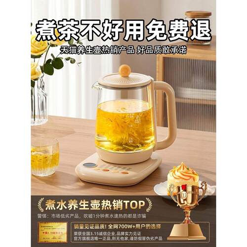 出口110V伏养生壶多功能恒温煮茶器出国美国加拿大用烧水壶小家电