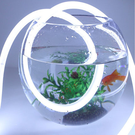 LED灯带220V圆形柔性霓虹灯室外高亮防水12V灯带360度发光灯装饰