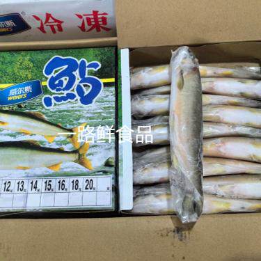 香鱼 料理食材 鲜活冷冻香鱼 冷冻公香鱼 1盒2斤规格7尾到14尾