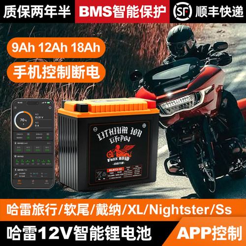 自由大道适用哈雷摩托车锂电瓶