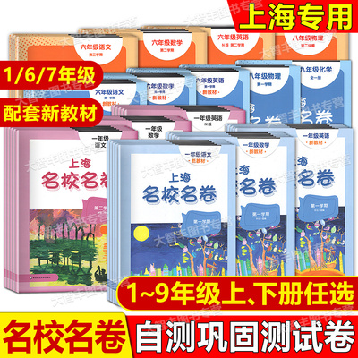 2024新版上海名校名卷语文