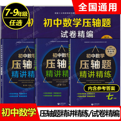 初中数学压轴题精讲精练七八九