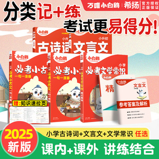 2025万唯小白鸥星空小升初古诗词252首文言文186篇三四五六年级语文人教版 小学生必背古诗词小古文古诗文全解译注与赏析阅读训练习