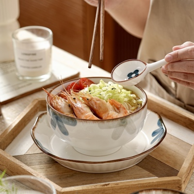 WUXIN陶瓷微波炉饭碗套装