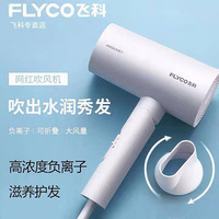 飞科电吹风机小大功率发廊理发店发型师静音宿舍家用学生FH6277