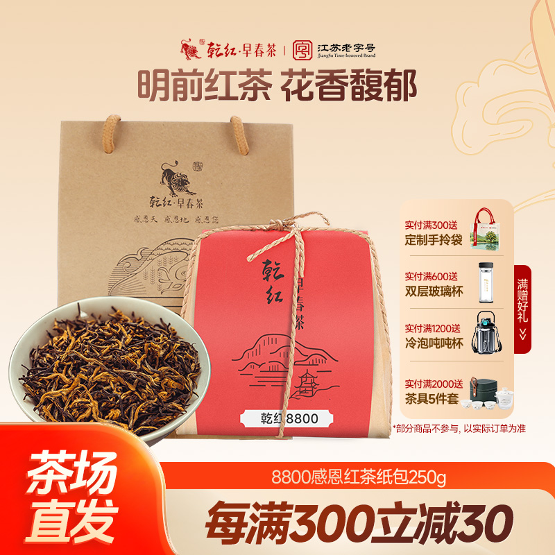 乾红早春茶宜兴明前红茶