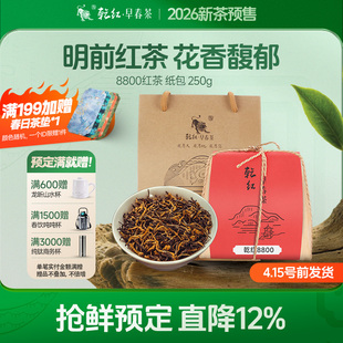 2026新茶预售 250g 乾红早春宜兴明前花香红茶叶8800系列袋装