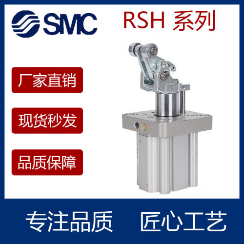 阻挡气缸RSA2H50-633020DL