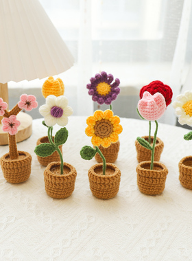手工艺品diy自己盆栽花束制作