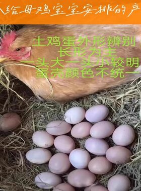 正宗土鸡蛋农家散养农家林下散养纯粮土鸡蛋笨鸡柴鸡蛋草鸡蛋60枚