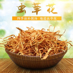 无硫虫草花北冬虫夏草金虫草蛹虫草干货产地直销1000g