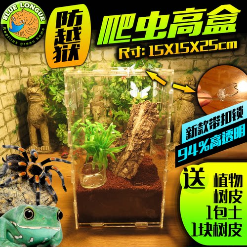 高透亚克力爬虫蓝宝石华丽