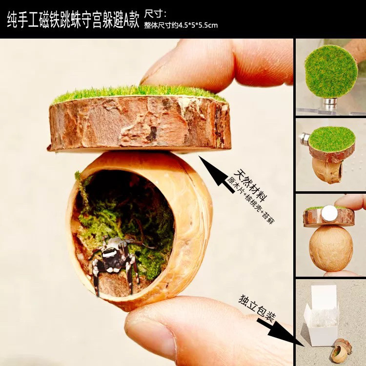 外贸宠物跳蛛盒躲避洞晒台核桃小屋小壁虎洞穴磁铁款佛罗里达跳蛛,宠物/宠物食品及用品,爬宠躲避/造景,淘宝优惠券,粉丝福利购,淘宝优惠卷