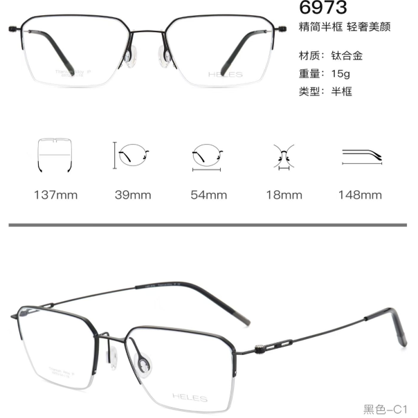 正品海伦丝HELES商务纯钛半框近视眼镜架镜框多边形男女款6973