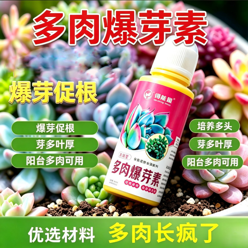 多肉爆芽素专用直喷爆芽王营养液优芽素激活节点助生长生根催芽剂