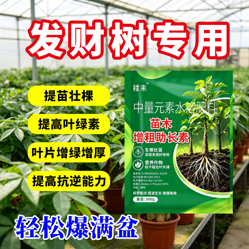 发财树专用肥料颗粒固体肥营养液黄叶绿叶施肥盆景 复合肥有机肥