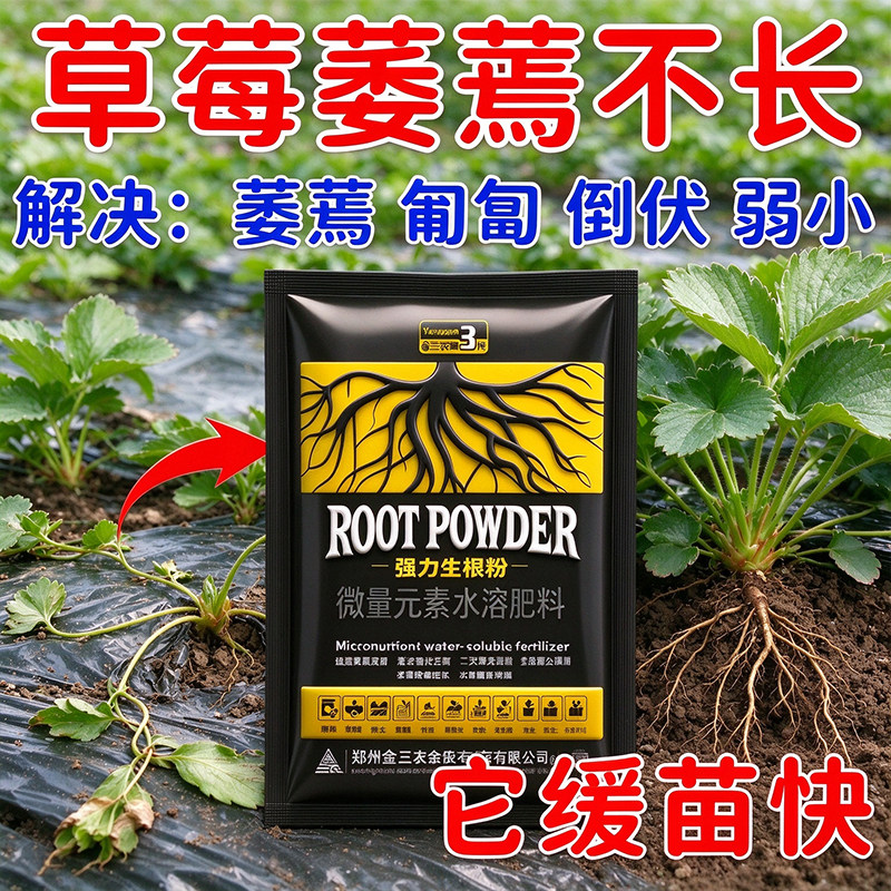 草莓育苗生根粉改良重茬促根系发育壮根提苗水溶肥料