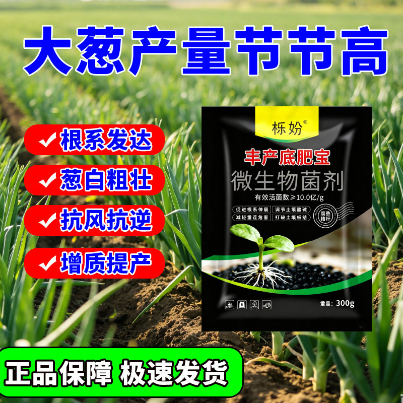 大葱高产追肥宝【1袋1亩】大葱种植专用改良土壤防黄叶干尖补营养