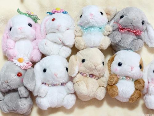 日单公仔兔AMUSE可爱毛绒玩具