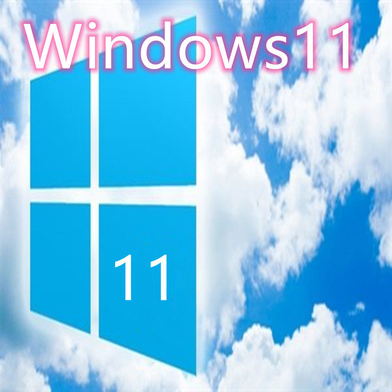 正版win11专业版系统u盘正版windows11系统电脑重装纯净版u盘64位