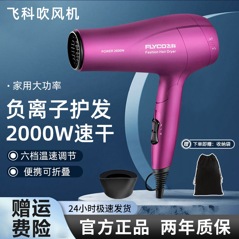 飞科电吹风机家用大功率负离子护发轻音大风力速干吹风筒FH6618