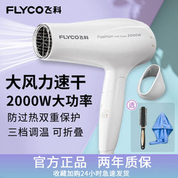 飞科旗下博锐吹风机恒温护发家用
