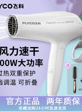 飞科吹风机家用大功率2000W恒温护发速干学生宿舍用电吹风筒