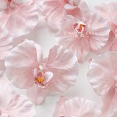 女神节仿真花蝴蝶兰蛋糕装 饰插件康乃馨玫瑰花 饰摆件母亲节蛋糕装