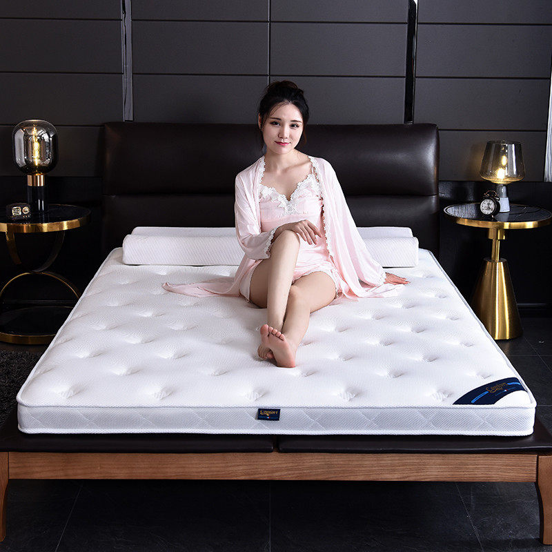 五星酒店3E环保椰棕垫家用儿童软硬俩用榻榻米棕垫加厚乳胶席梦思