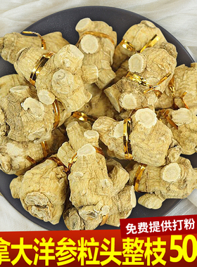 加拿大西洋参整支特级野生粒头整枝美国花旗参段进口非原装500克