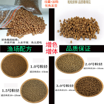 高档观赏鱼鱼食锦鲤饲料育成增色增体美白主食胚芽保健益生菌鱼粮
