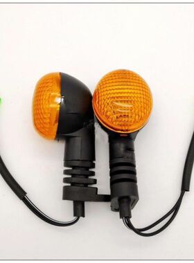 大阳摩托车DY100/110-2E-2F-15A/-20/48Q-5-20后转向灯后方向灯