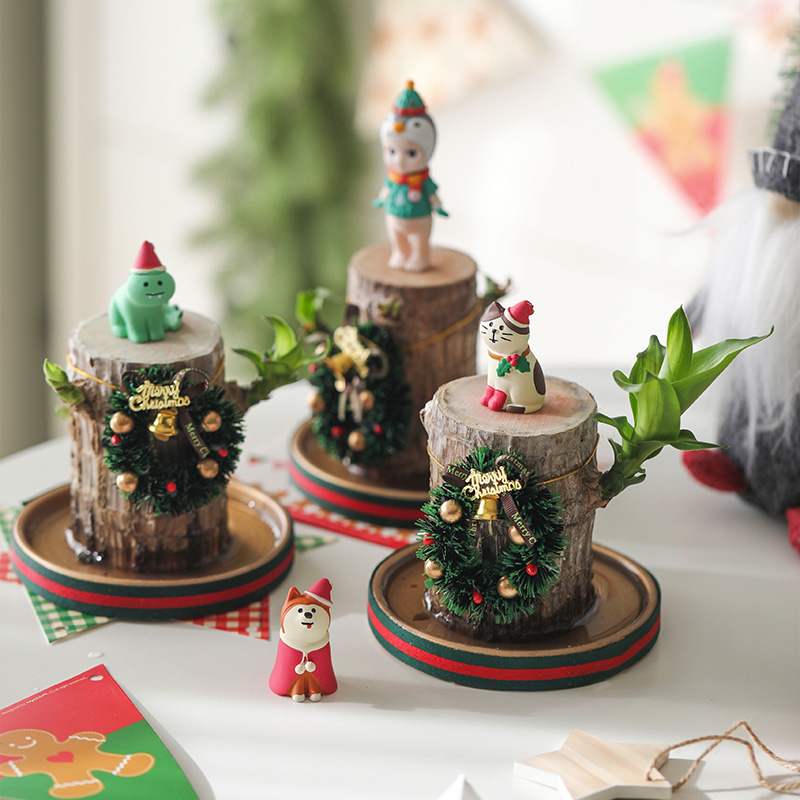 圣诞版水培幸运木巴西木木带芽开花花卉绿植植物室内办公室盆栽