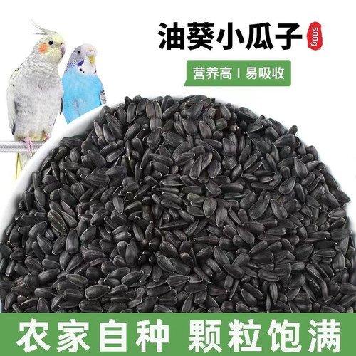油葵小瓜子鸟粮饲料训练奖励食物太阳玄凤牡丹鹦鹉鸟食仓鼠零食