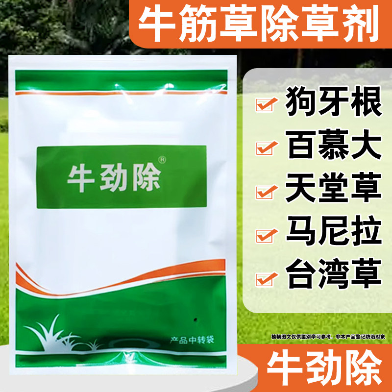 百慕大马尼拉草坪除草剂牛筋草马唐水花生小飞蓬恶性杂草除草剂