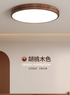 中古vintage侘寂风复古创意双圆设计师胡桃色餐厅主卧室吸顶灯具