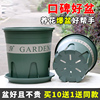 月季生根加厚塑料花盆青山三代控根盆大号加仑盆多肉绿萝月季花盆