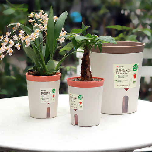懒人创意树脂吸水花盆