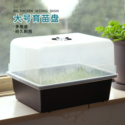 老花农家用带盖育苗盘穴盘育苗盒