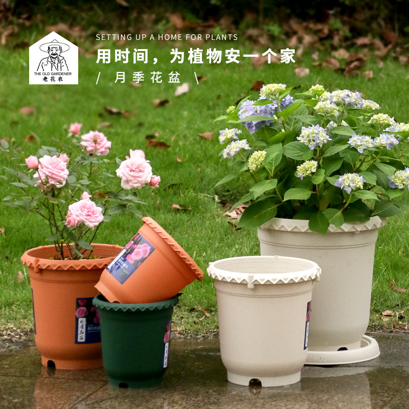 月季花盆塑料排水透气加厚结实