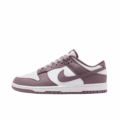 nike耐克男DUNKLOWRETROBTT